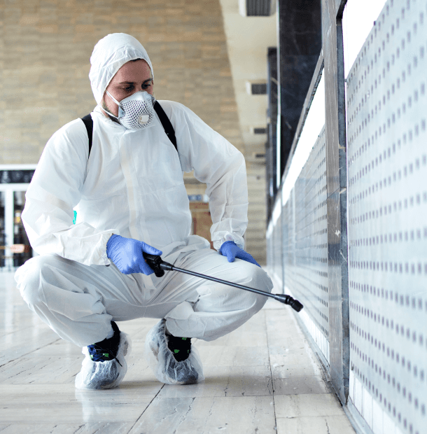 Higienizacion de coronavirus