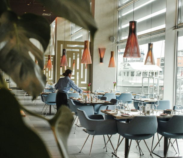 Limpiezas palos de moguer