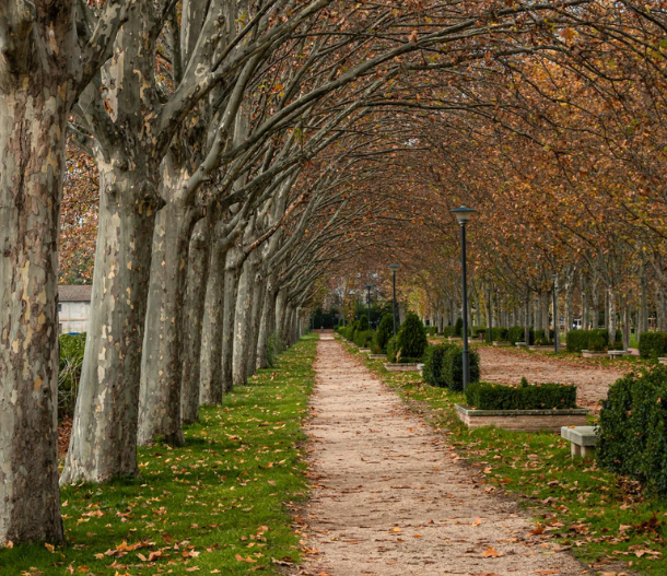 limpieza legazpi madrid