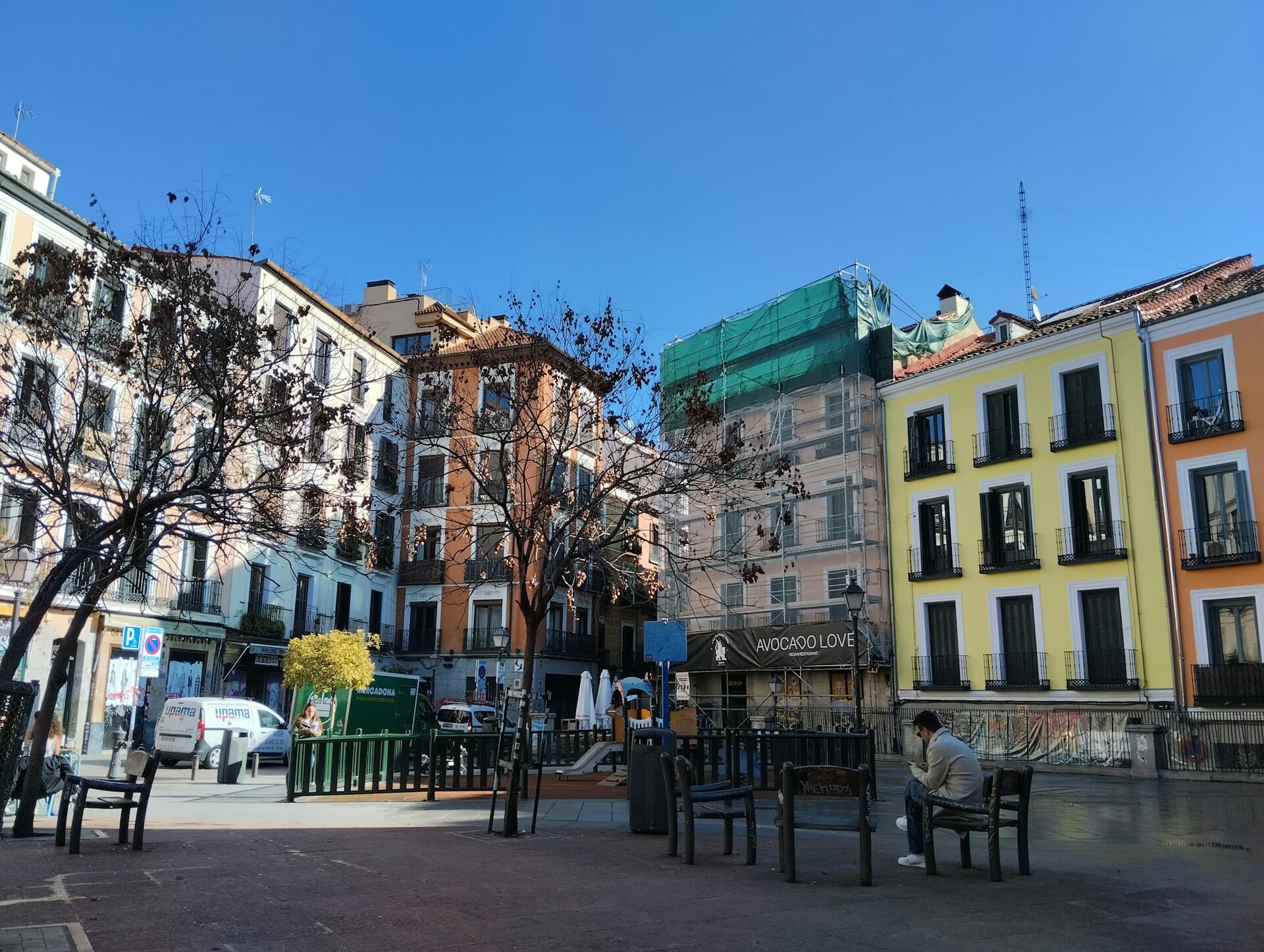 limpiezas el plantio